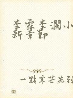 李霖李澜小说最新章节