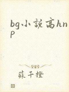 bg小说高hnp