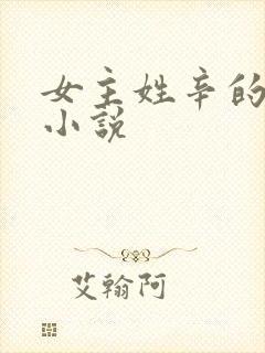 女主姓辛的现代小说