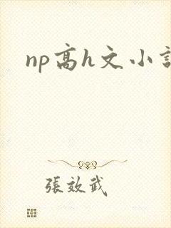 np高h文小说