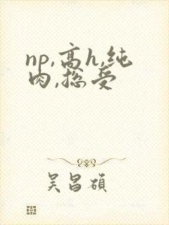 np,高h,纯肉,总受