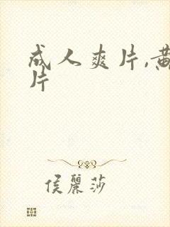 成人爽片,黄色片