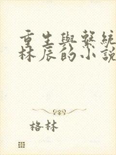 重生与系统主角林辰的小说