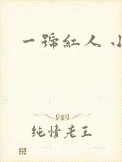 一号红人 小说封面