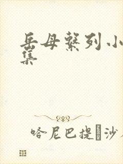 岳母系列小说合集