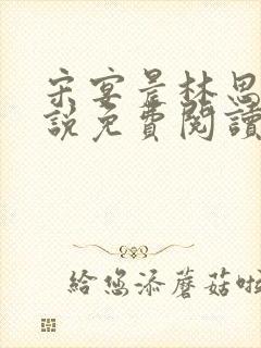 宋宴晨林思微小说免费阅读最新章节