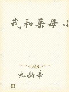 我和岳母 小说封面