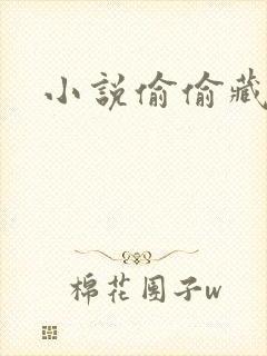 小说偷偷藏不住