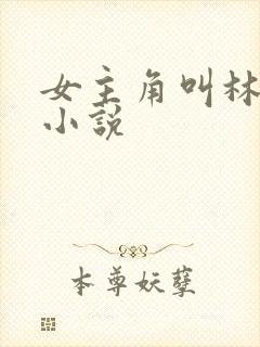 女主角叫林夏的小说