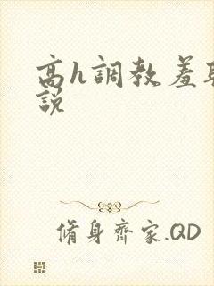 高h调教羞耻小说