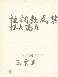 被调教成禁脔双性h高h