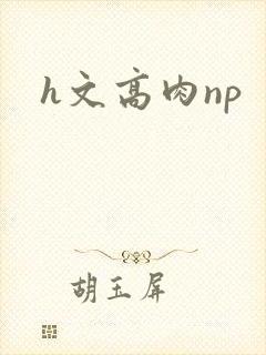 h文高肉np