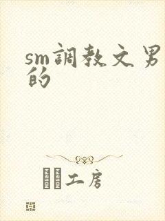 sm调教文男男的封面