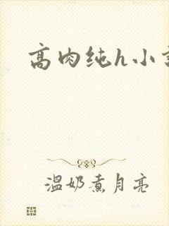 高肉纯h小说