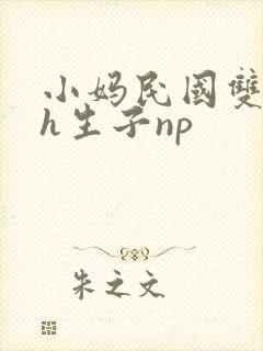 小妈民国双性高h生子np封面