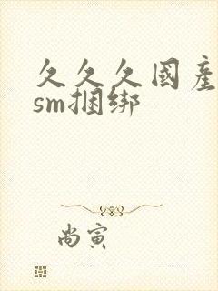 久久久国产调教sm捆绑