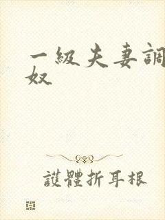 一级夫妻调教男奴封面