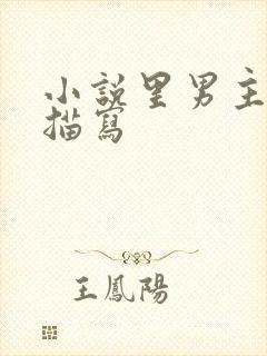 小说里男主外貌描写