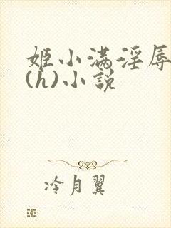 姬小满淫辱日记(h)小说封面