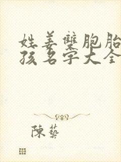 姓姜双胞胎的男孩名字大全封面