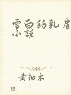 雪白的乳房乡村小说