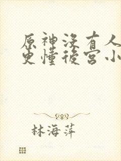 原神没有人比我更懂后宫小说