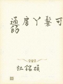 通房丫鬟可以听的