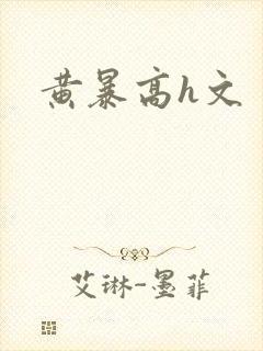 黄暴高h文封面