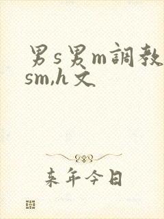 男s男m调教(sm,h文