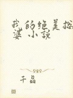 我的绝美总裁老婆 小说