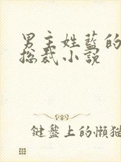 男主姓蓝的霸道总裁小说