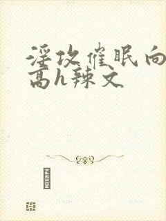 淫攻催眠向np高h辣文