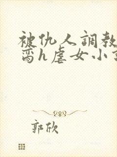 被仇人调教成禁脔h虐女小说封面