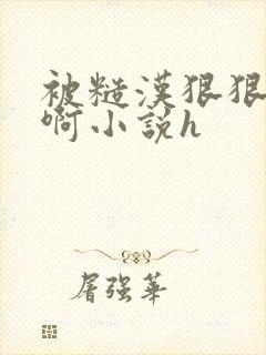 被糙汉狠狠弄嗯啊小说h