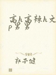 高h高辣h文np男男