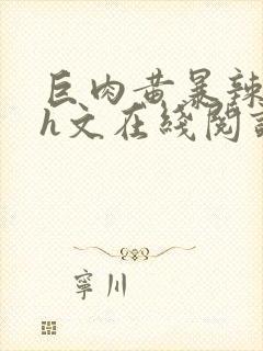 巨肉黄暴辣文高h文在线阅读