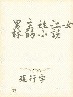 男主姓江女主姓林的小说