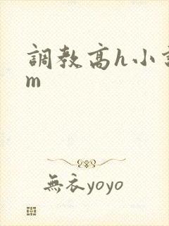 调教高h小说sm