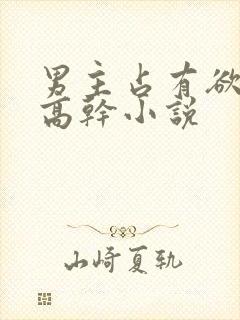 男主占有欲强的高干小说封面