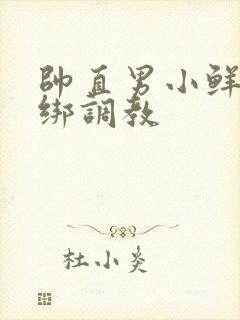 帅直男小鲜肉捆绑调教