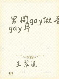 男同gay做受gay片