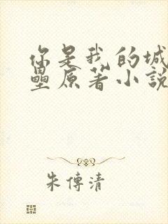 你是我的城池营垒原著小说免费阅读