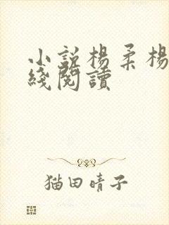 小说杨柔杨尘在线阅读