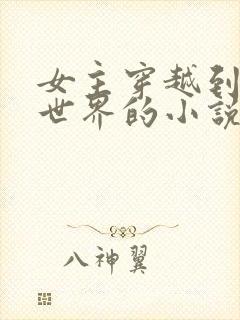 女主穿越到综漫世界的小说