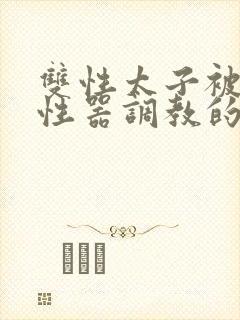 双性太子被各种性器调教的精彩小说