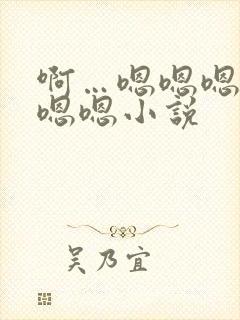 啊…嗯嗯嗯嗯嗯嗯嗯小说封面