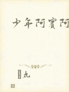 少年阿宾阿慧封面