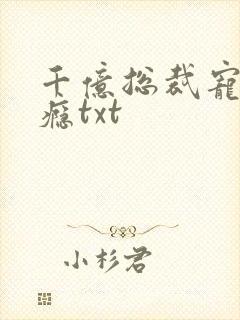 千亿总裁宠妻成瘾txt封面