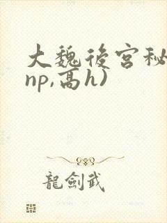 大魏后宫秘史(np,高h)
