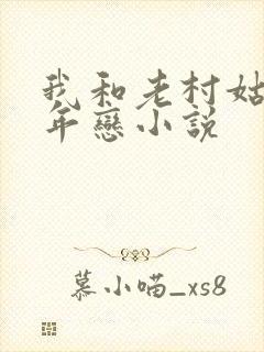 我和老村姑的忘年恋小说封面